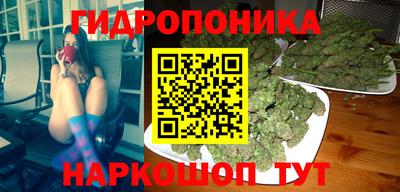 Альфа ПВП Новозыбков