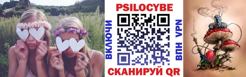shop какой сайт Холмск Галлюциногенные грибы Magic Shrooms